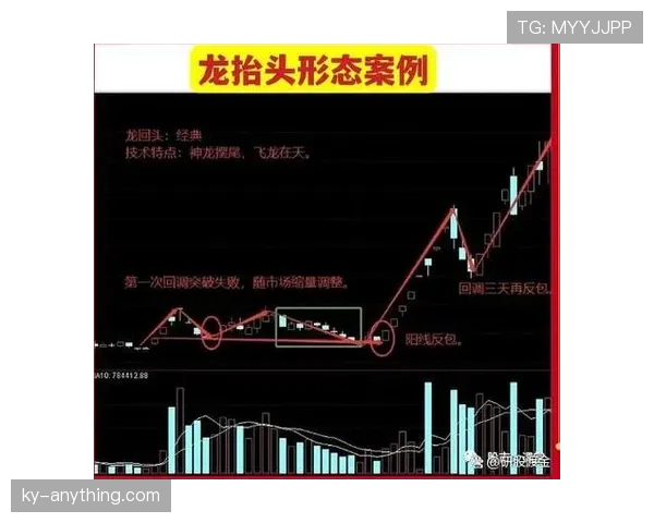 篮球持球规则的核心要点与实战应用解析